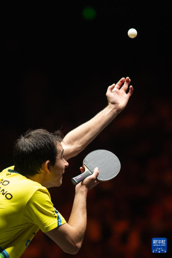 鲜明对比 鲜明对比